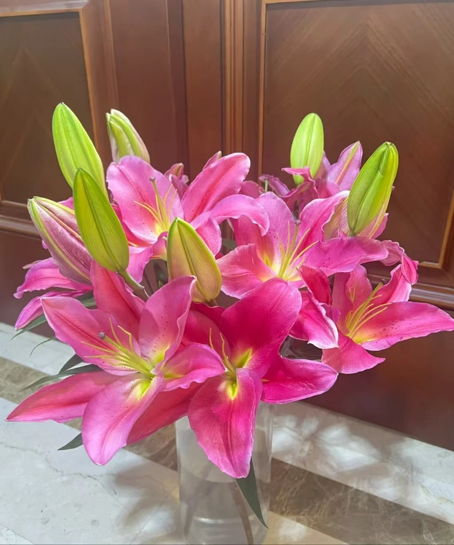 特红香水百合云南昆明基地直发