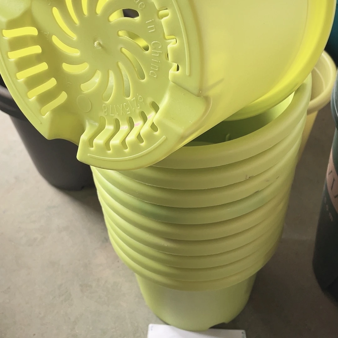 编号是51号的51号的