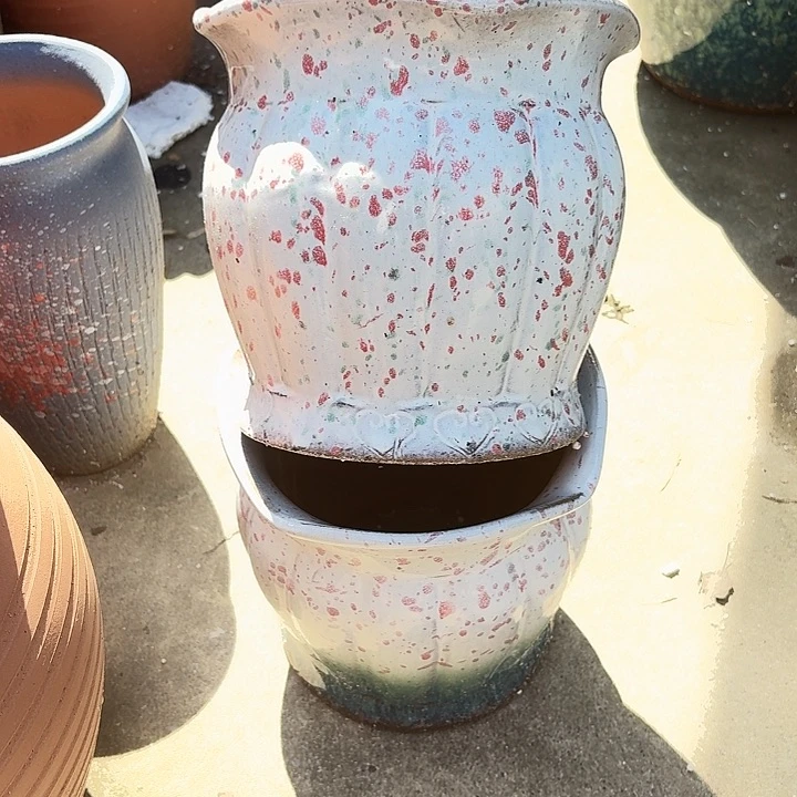 20/19两个盆子vvv