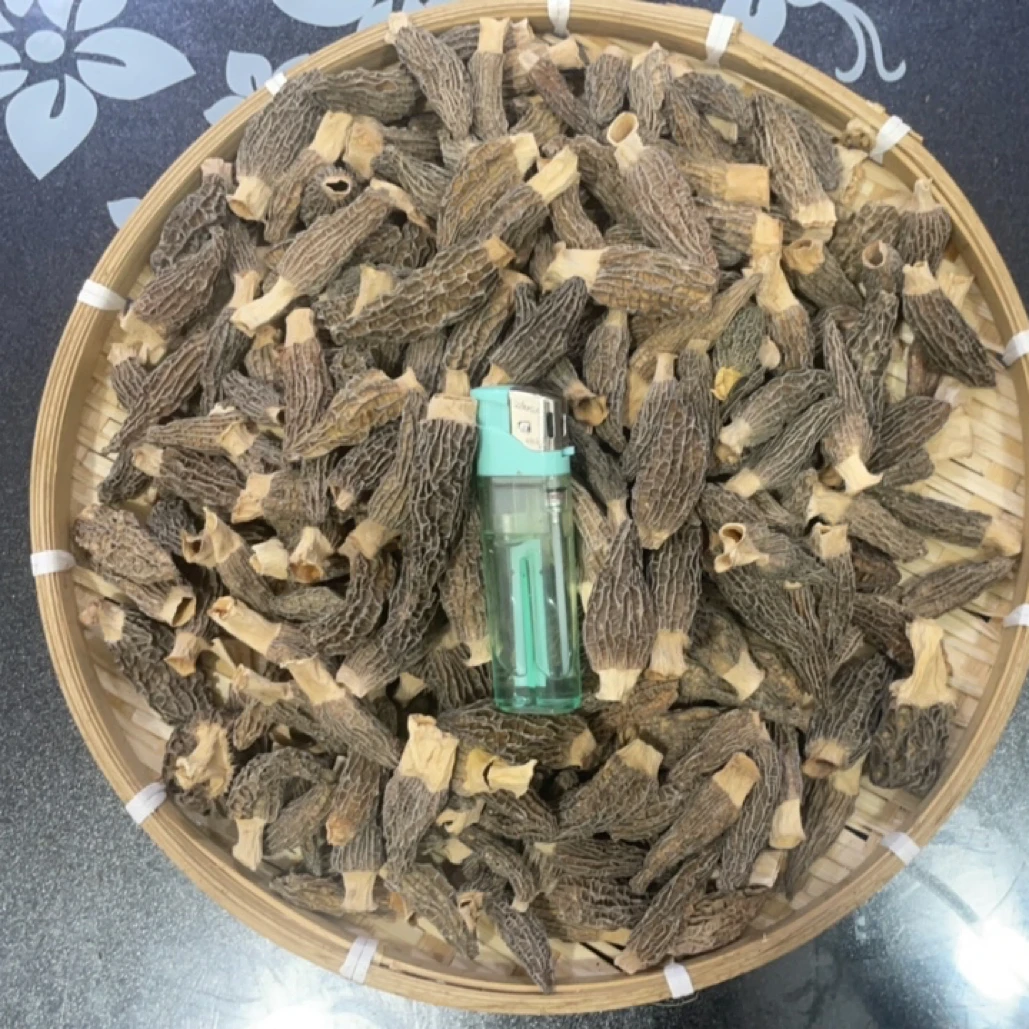 云南特产头茬无硫特级羊肚菌干货剪脚煲汤佳品