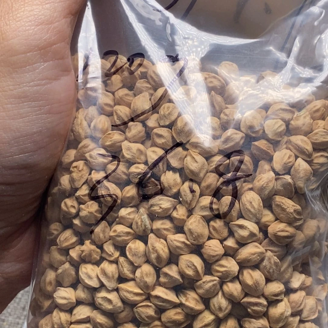 柏香籽/百香籽吊坠花*镜