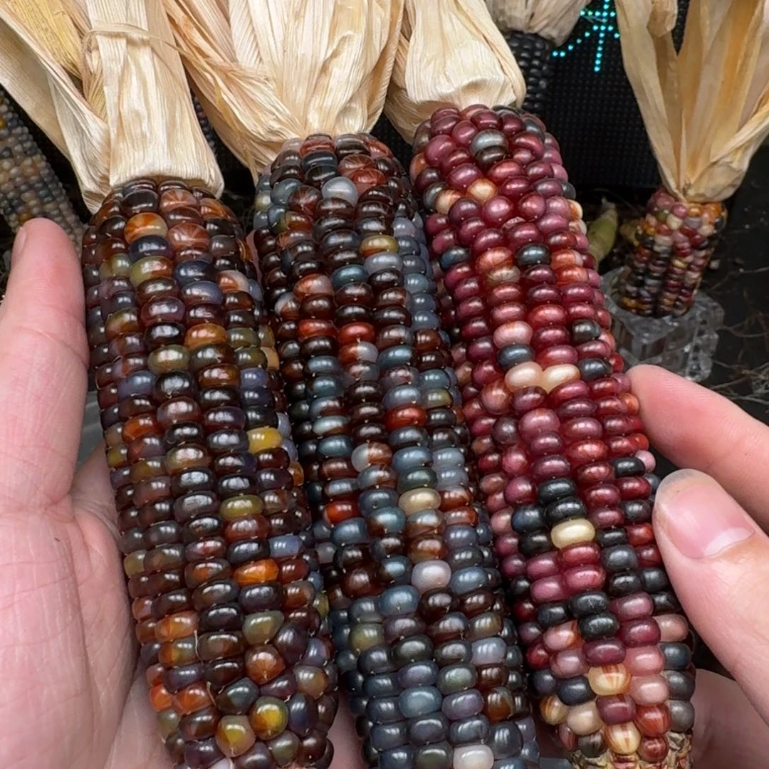 柏香籽/百香籽吊坠真***理