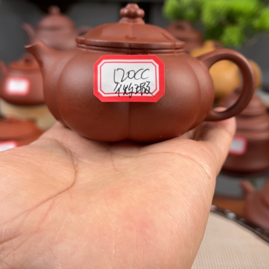 茶壶紫砂25555556665555