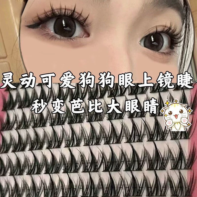 100簇大容量免胶小奶犬系假睫毛眼睫毛懒人浓密自然新手漫画