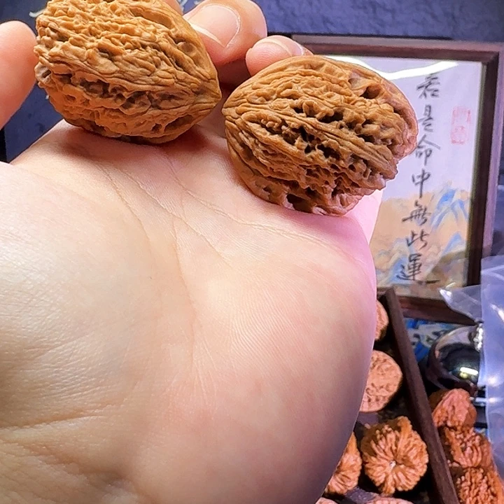 代****大叶紫檀(黑酸枝木类)