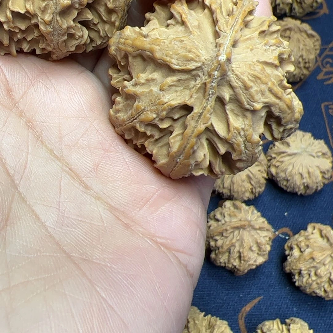 文玩核桃把件赵*叶秦岭野生植物核桃