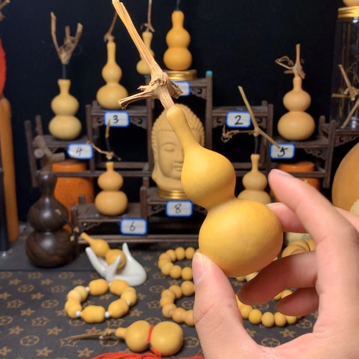 ****葫芦葫芦葫芦葫芦葫芦