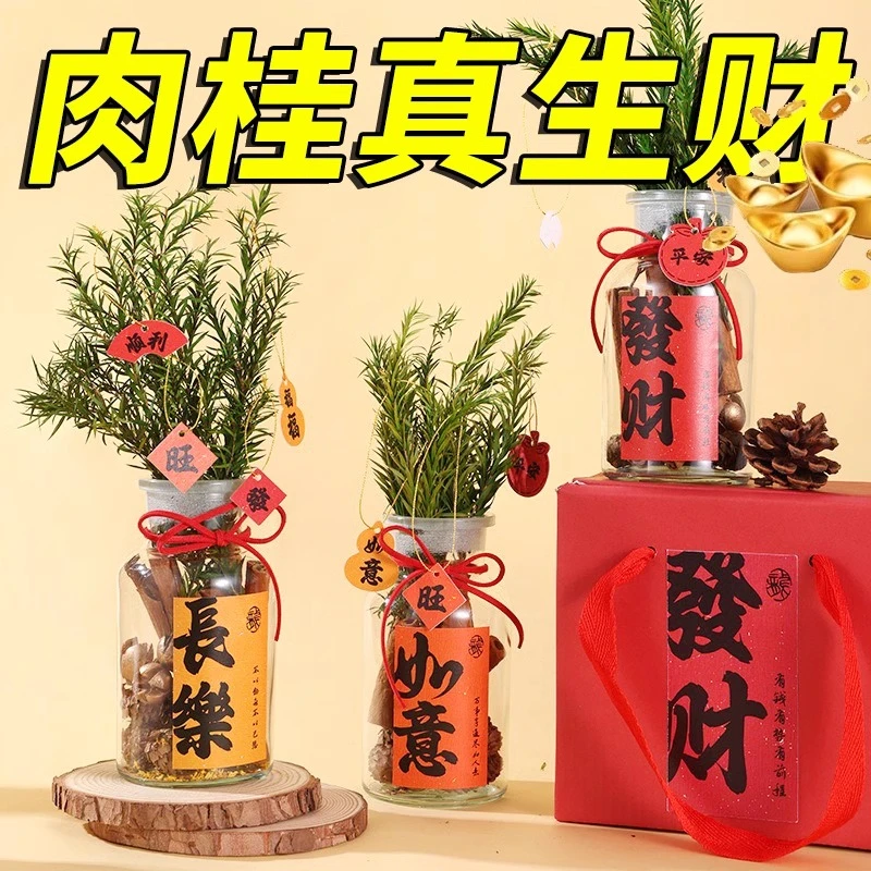 肉桂生财瓶摆件招财花瓶客财厅位新居搬电视柜办公室