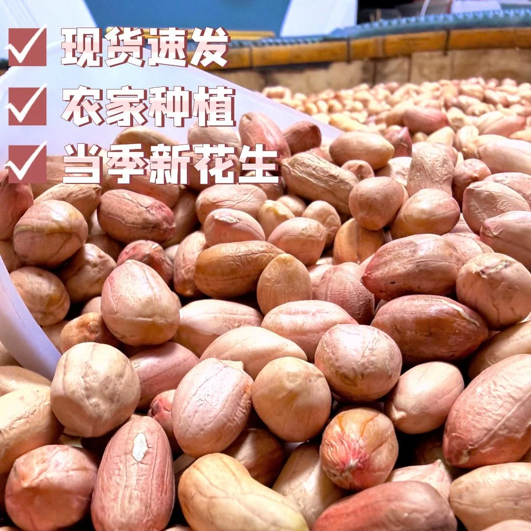 2025年新货花生米新鲜粉皮现剥精品花生米新鲜花生花生米大粒花生