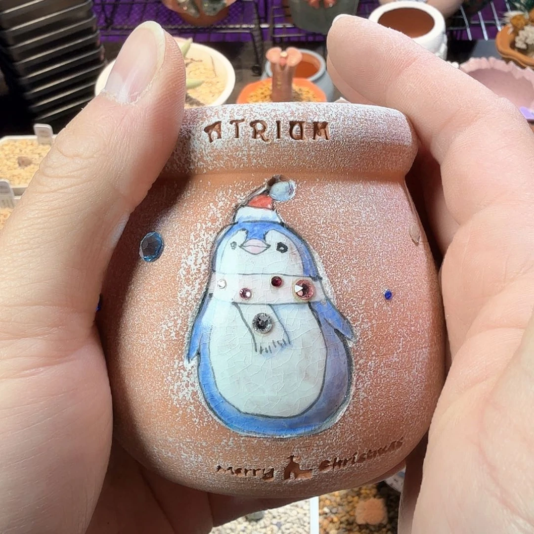 我****肉dy7 韩国心房 我的心肝