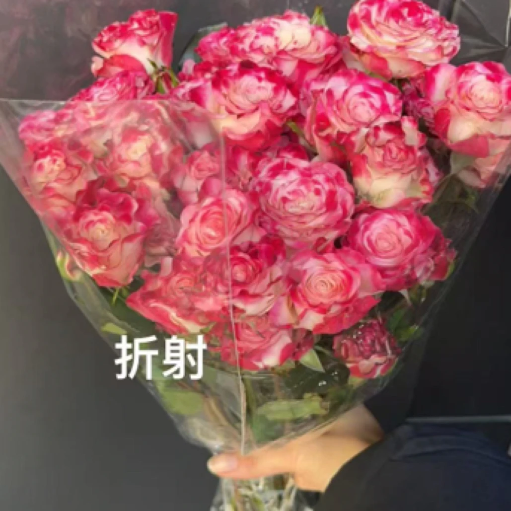折射多头玫瑰 5支常州新北区汉江路花店 同城派送
