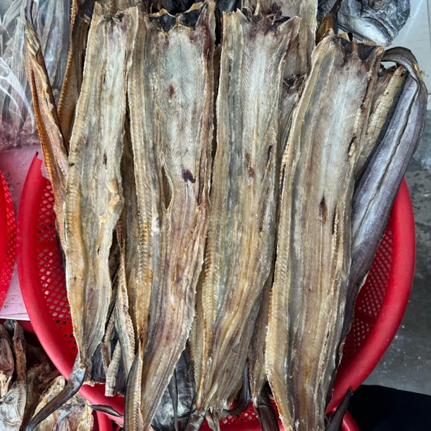 鳗鱼干淡干鳝鱼干中大麻鱼干煲汤炖肉清蒸特产