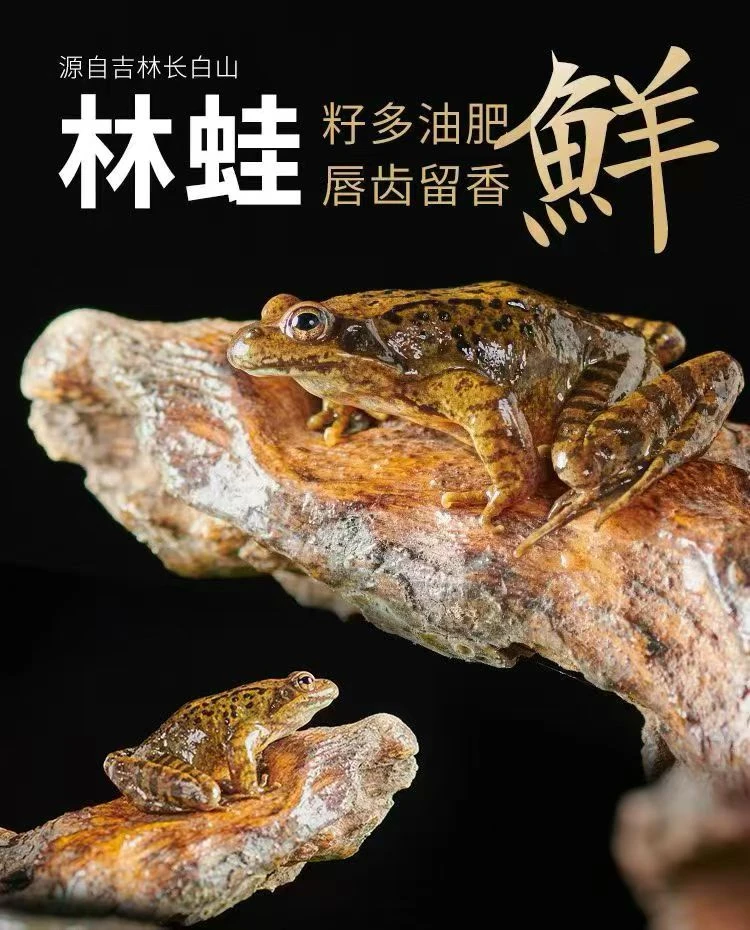 东北纯正林蛙 河鲜满油满籽雪蛤 母豹子 送炖蛙酱 顺丰包邮