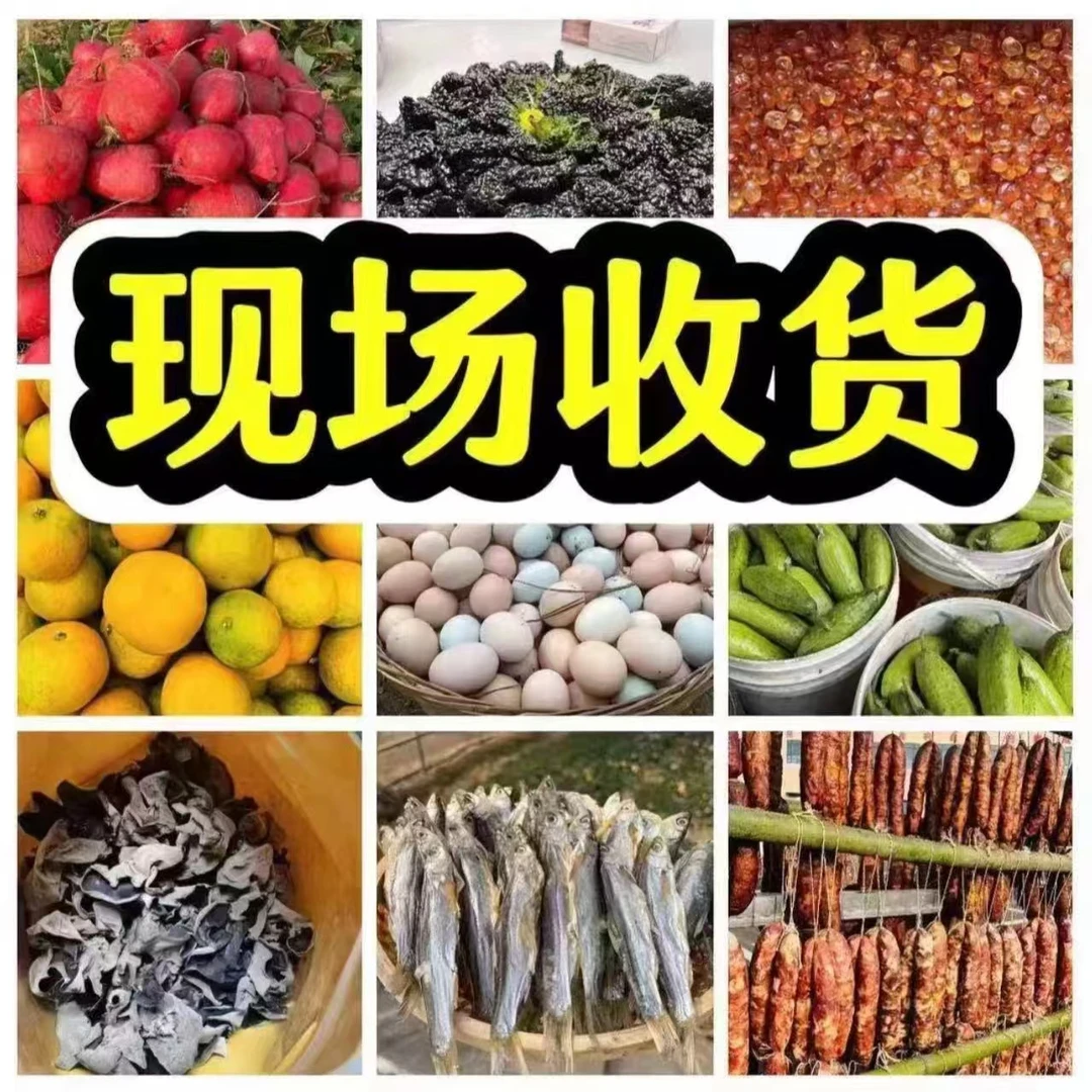 辉哥赶集现场收货地道农村好货（蔬菜）湖南特产正宗湖南特产