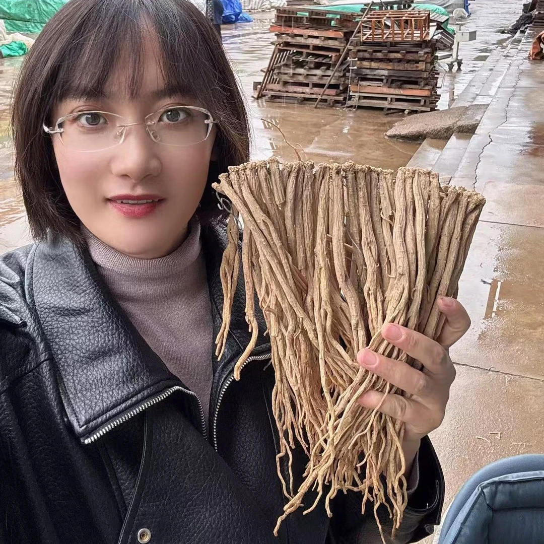 甘肃渭源白条党参小条