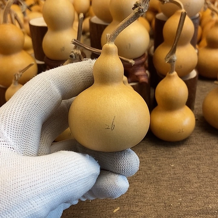 文玩葫芦 完美主义者 慎拍26