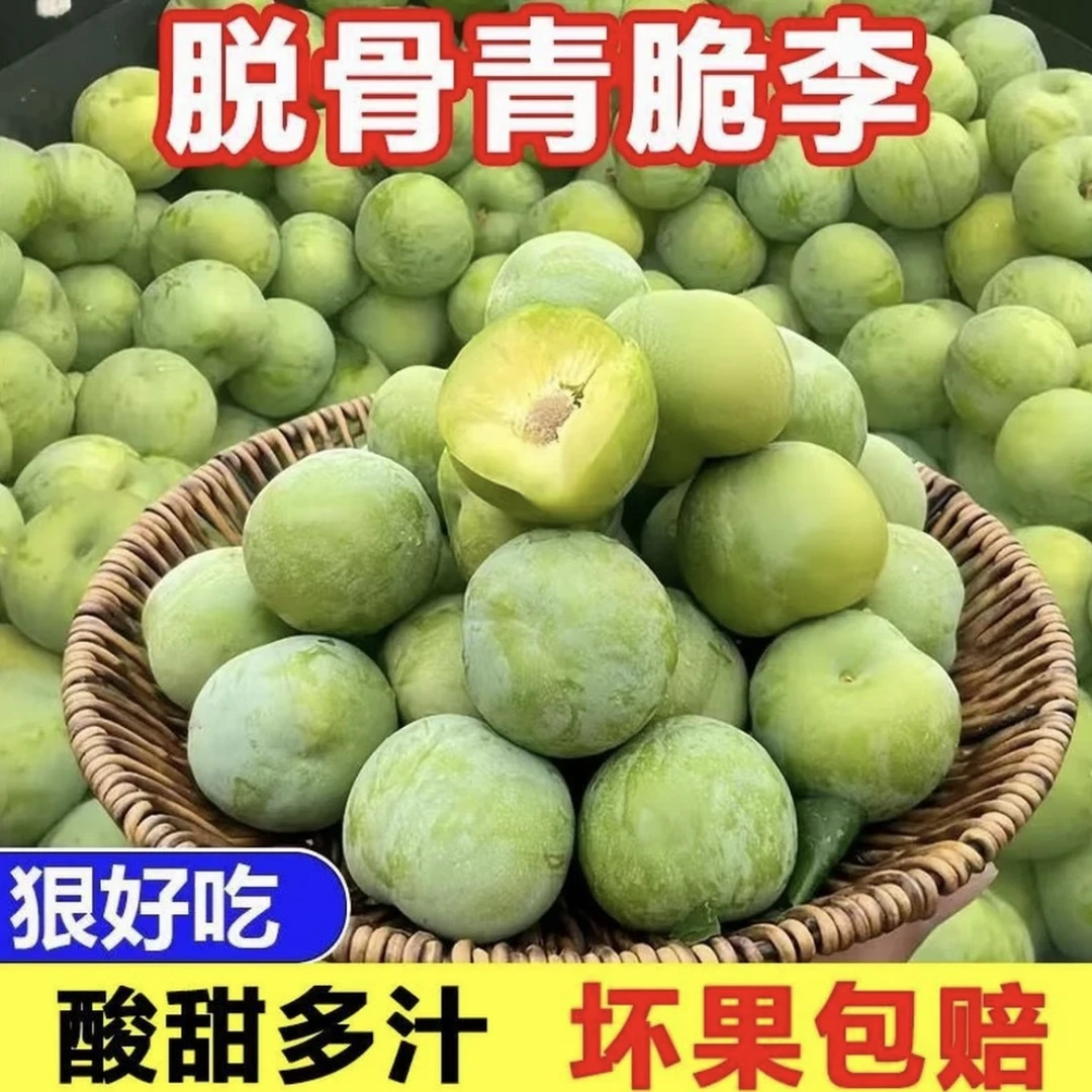 【现摘现发】正宗青脆李脱骨李当季新鲜青李甜酸过瘾水果 QD