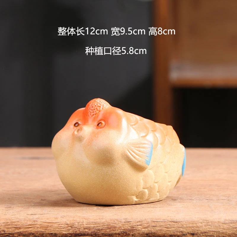 小泡泡鱼陶瓷多肉花盆家用网红专用陶土陶盆清仓捡漏厂家直销批发