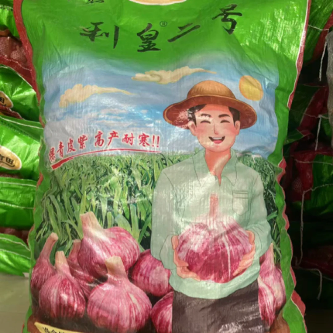 利皇二号中熟品种高产抗病活杆成熟的农作物品种60斤