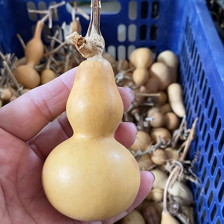 ?****rJsjzxbbsjskzskss