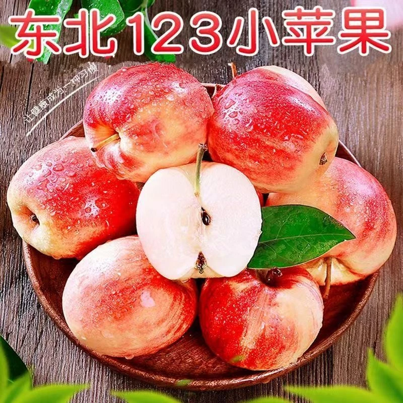 新鲜头茬东北123小苹果嘎啦苹果粉面香甜当季水果