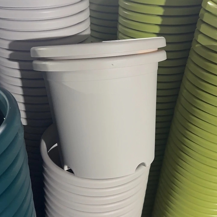 四季5#口径29灰白10个无托