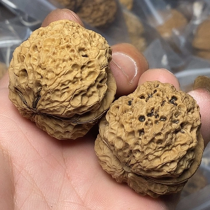 文玩核桃把件云南铁核桃58