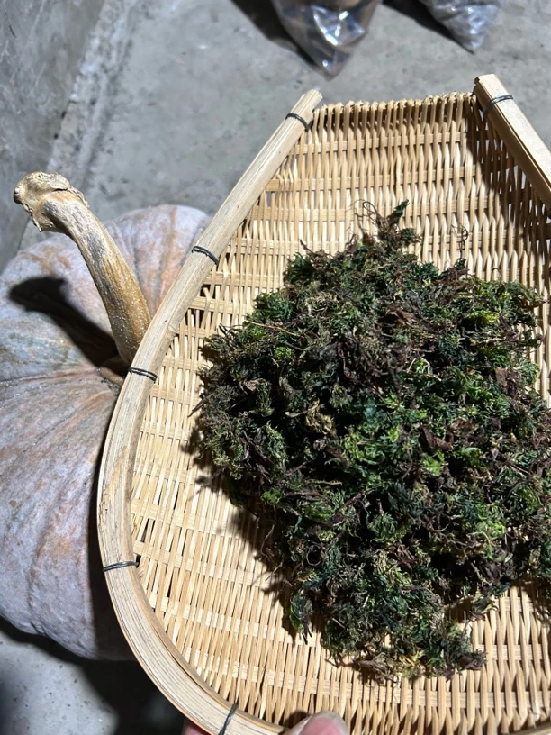 云南农家特产玉米1号链接