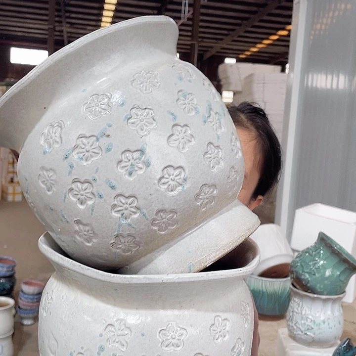正品两个20/20系列