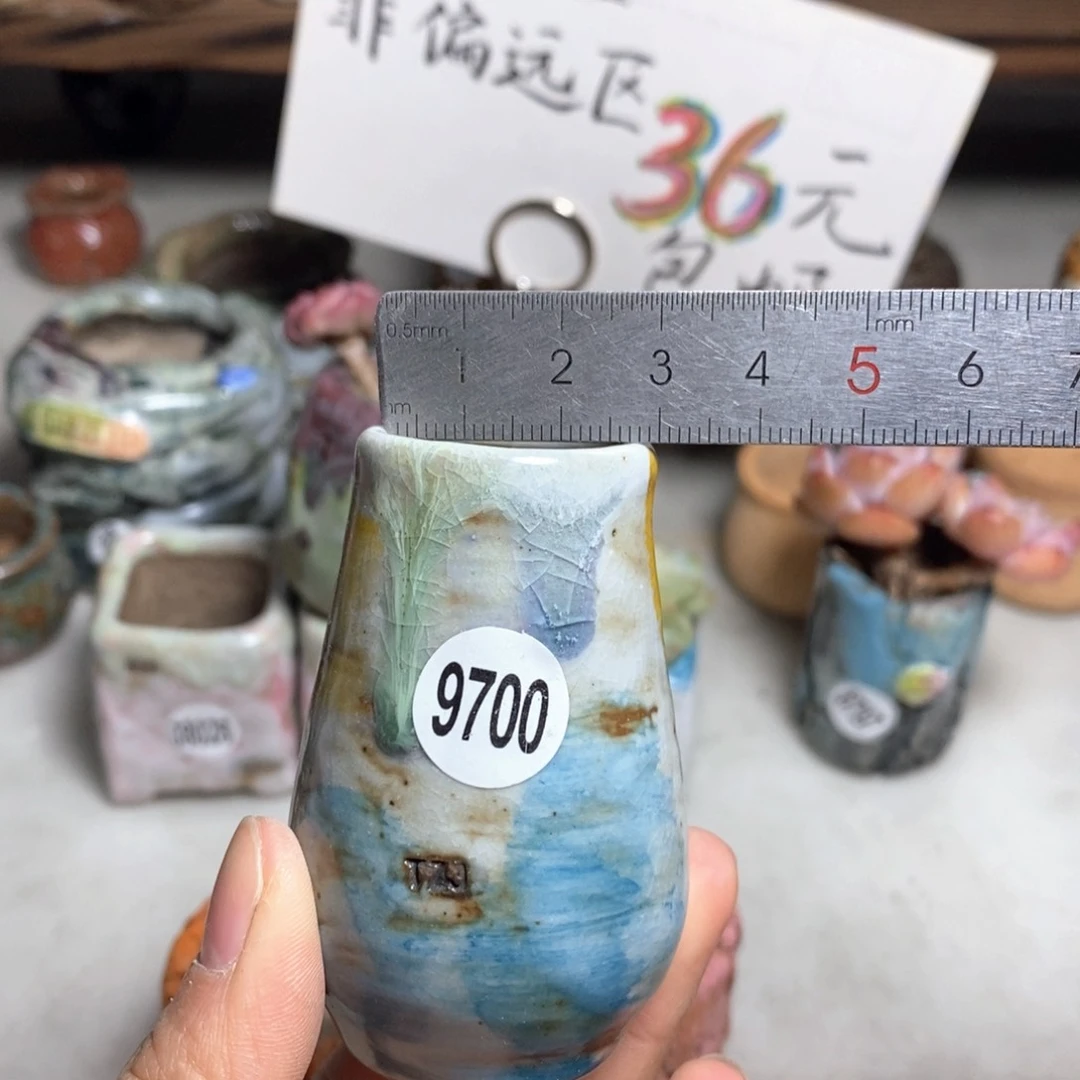 花盆拍5送一个小礼物