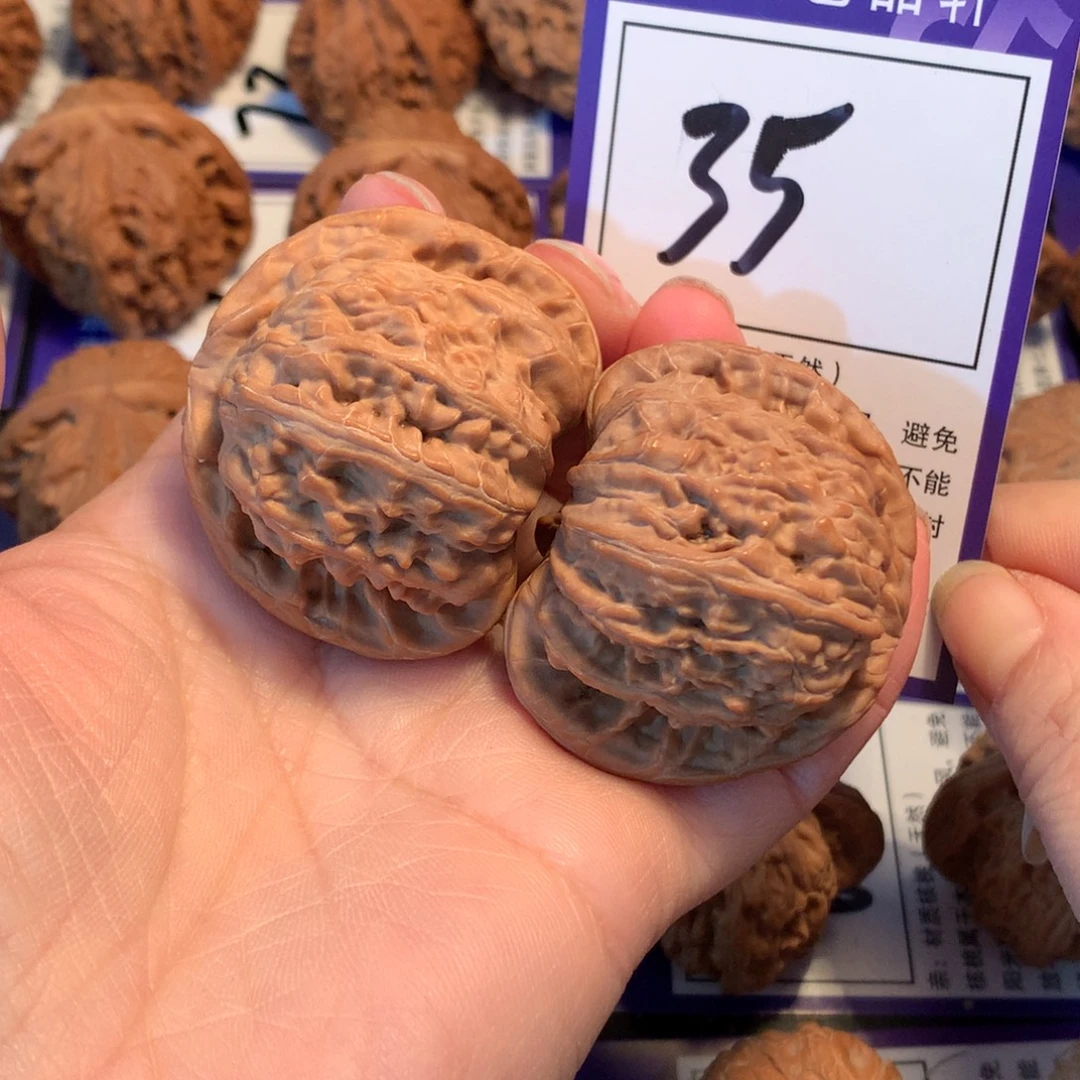 满***鼠核桃35白狮子4.4全品