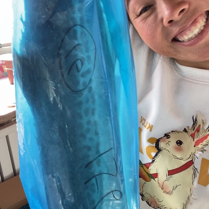 中国大陆渤海湾野生燕鲅鱼16号