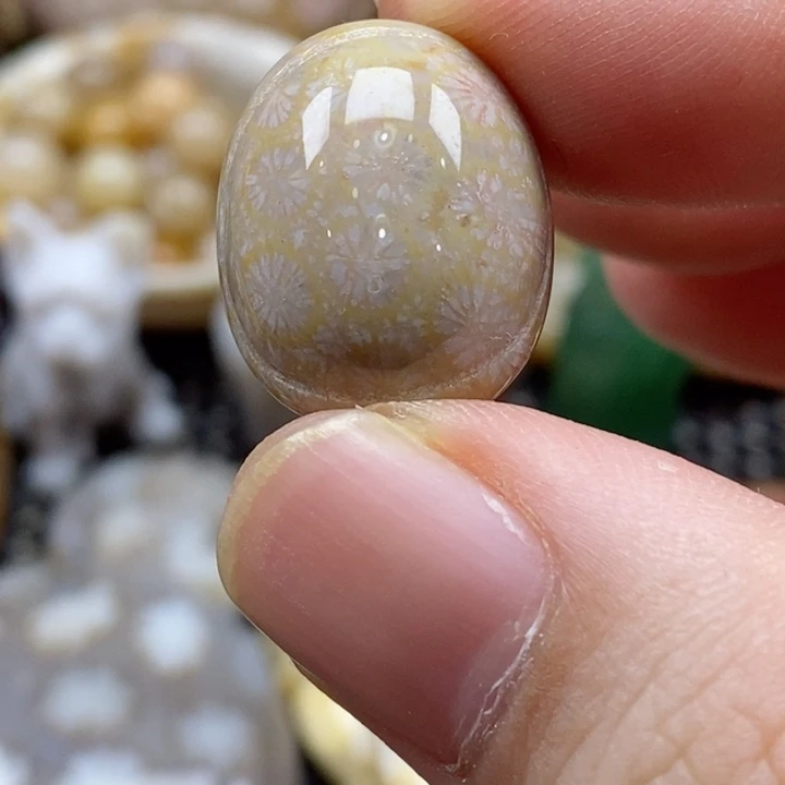 硅化珊瑚（珊瑚玉）颈饰未镶嵌仁**空