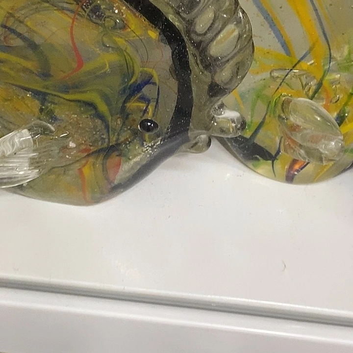 22555555555656665665555