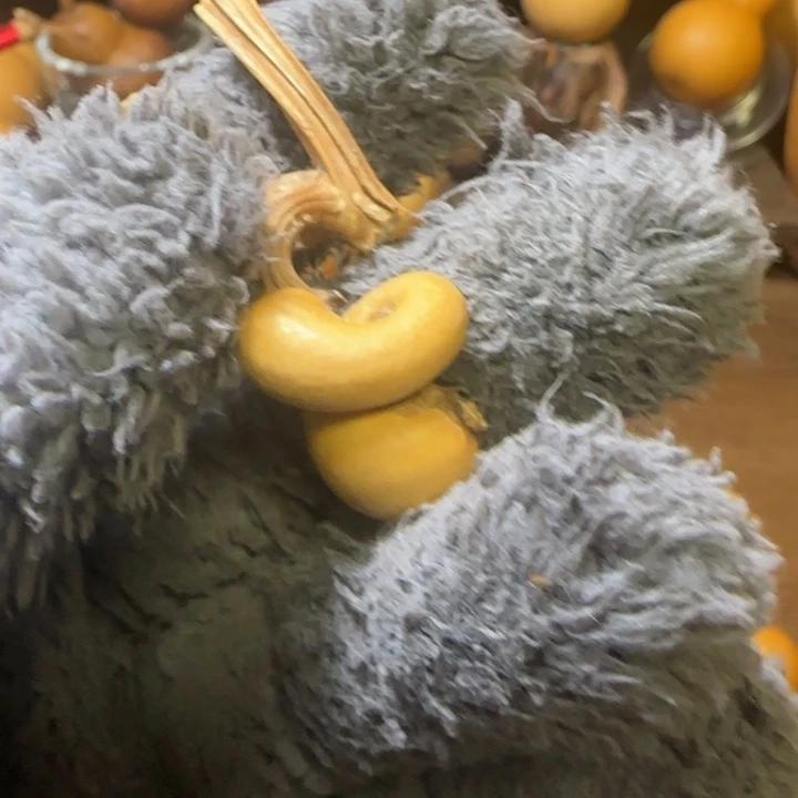 曦*子蜗牛天然葫芦葫芦葫芦葫芦