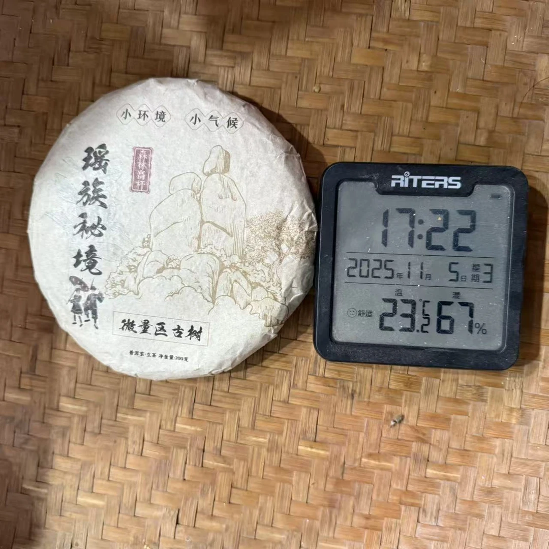 2022年瑶族秘境-森林高杆小环境小气普洱生茶饼200克D6号11月5日