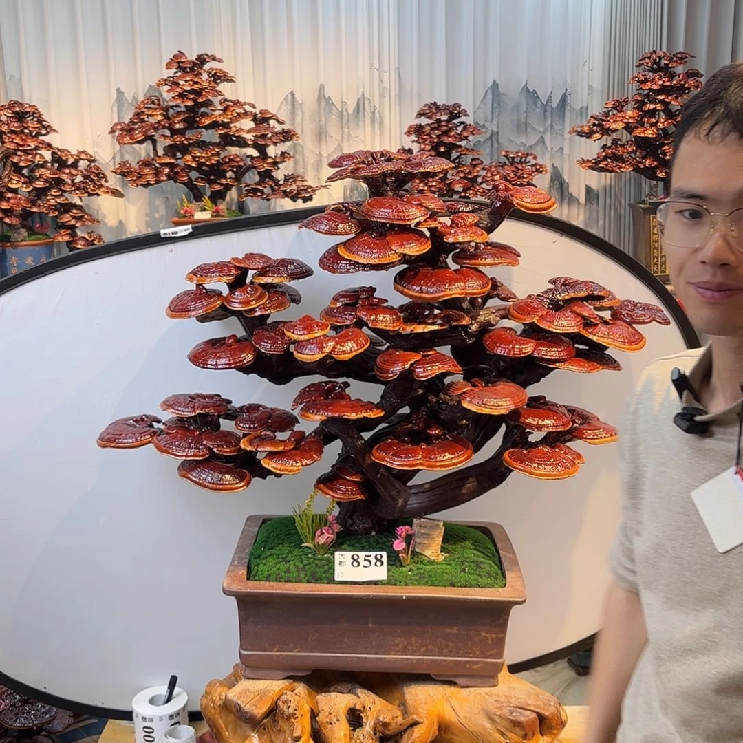 隔***保无花朵888888888888