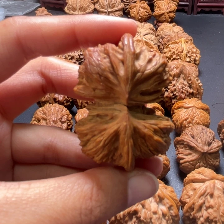 白狮子连体50尺寸单只核桃哈哈哈哈哈哈