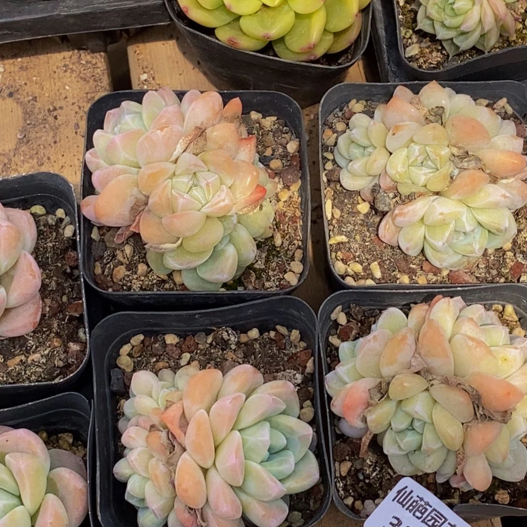 324到手了，我在这里等你回来