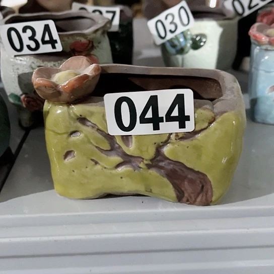 多肉植物花盆花盆