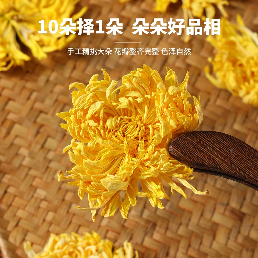 菊花茶金丝黄菊一朵一杯泡开约6-8厘米正宗耐泡好茶黄山贡菊黄菊