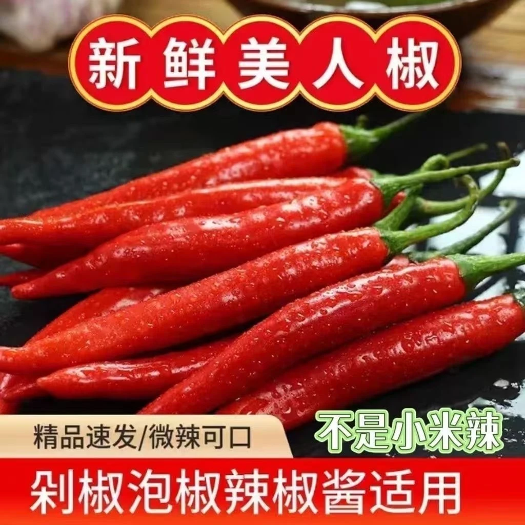 新鲜美人椒红线椒红辣椒红尖椒微中辣酱剁椒农家自种现摘现发