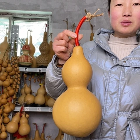 花**单天然植物葫芦文玩
