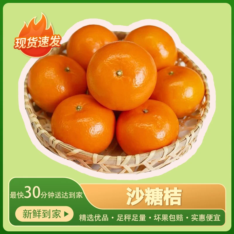 【送货到家】砂糖桔500g单斤/1500g3 斤（足秤足量，坏果必赔）