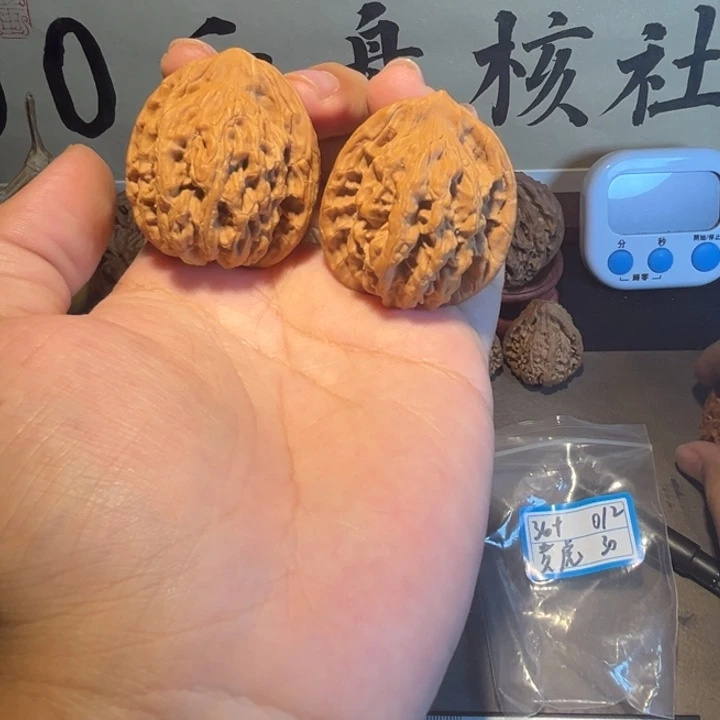 36全品麦虎编号0012