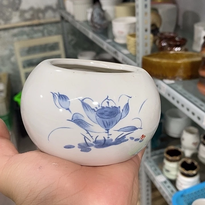 花盆抢购清货马上开始