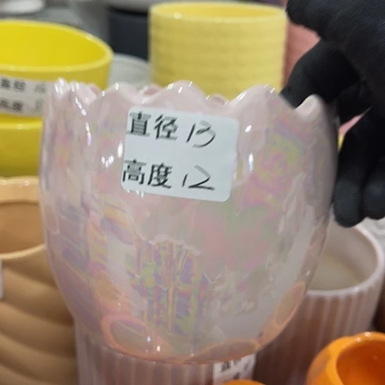 多年绿植陶瓷花盆9.9包邮，有孔