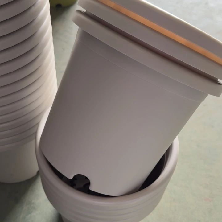 微瑕4号8个无托灰白