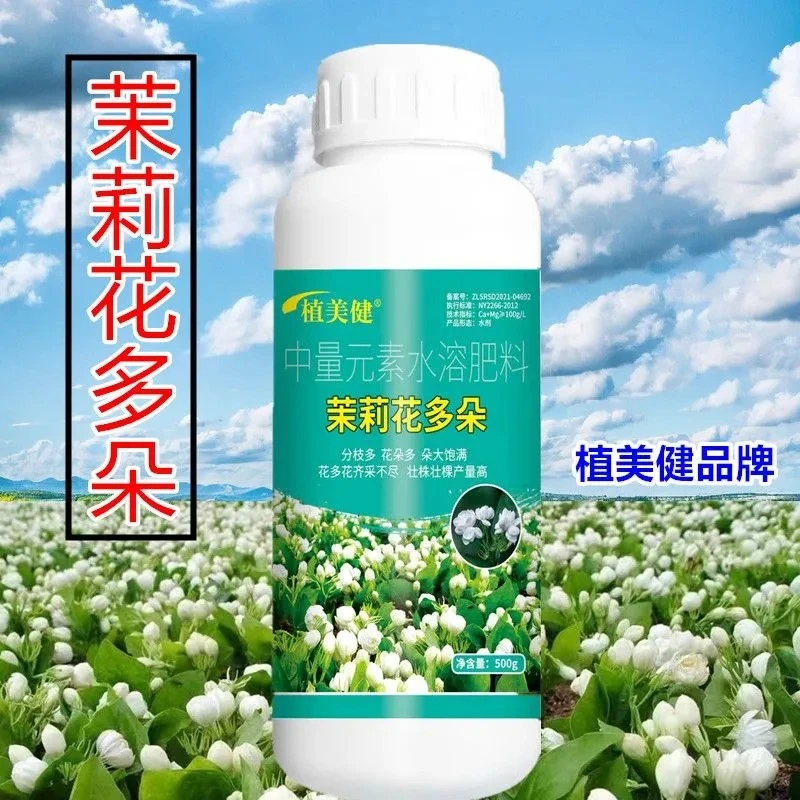 正品茉莉花专用花朵多花芽分化保芽护花叶片浓绿花芽多饱满靓丽