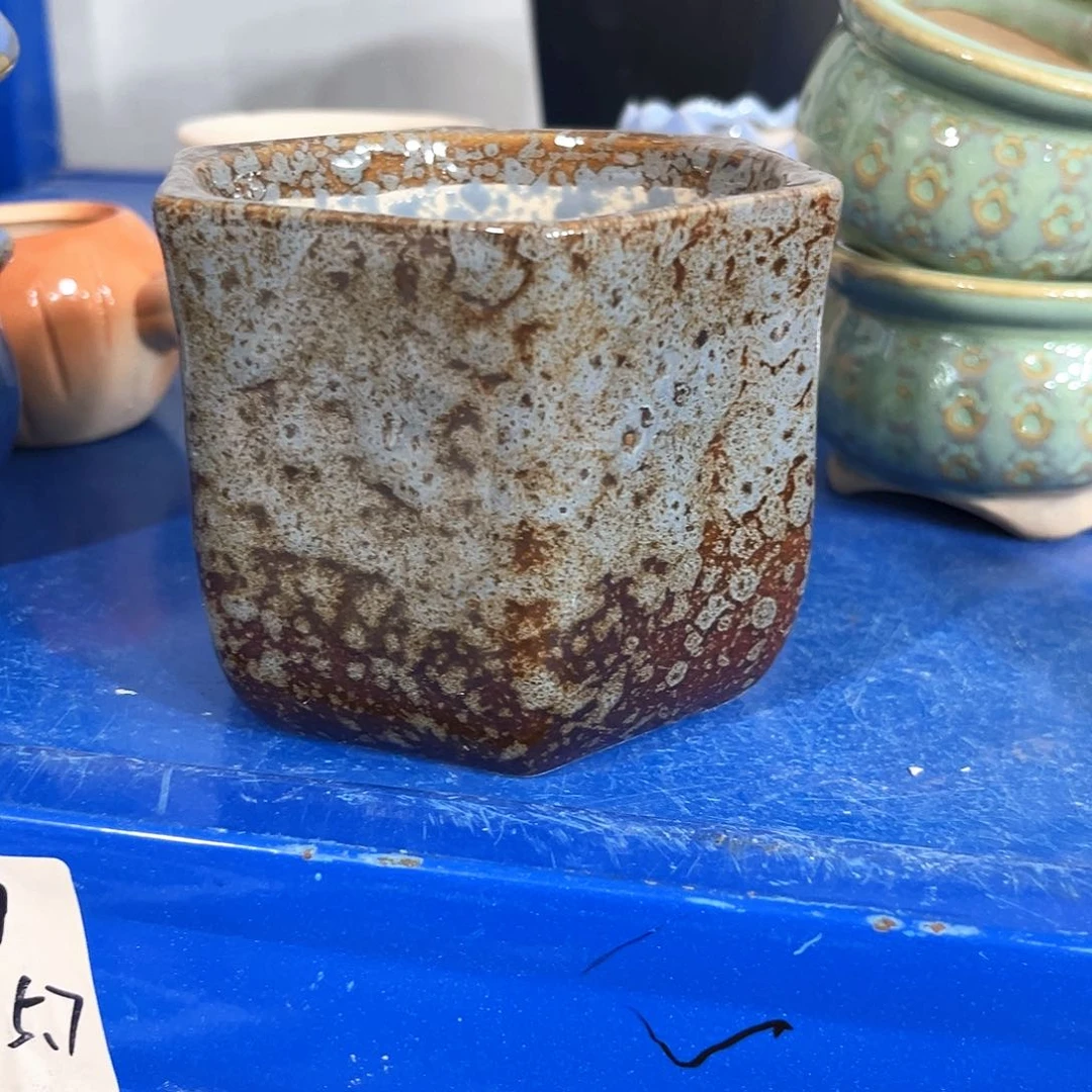 花盆花盆花盆花盆花盆花盆花盆